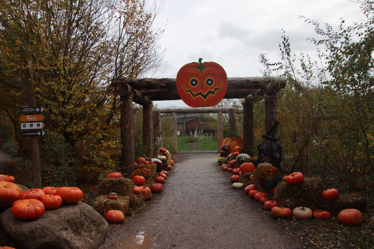 Décor d'Halloween avec citrouilles et arche décorée - Tiziri